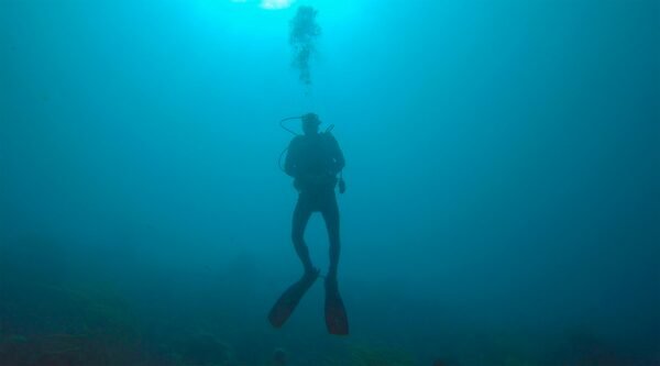 diving Vis